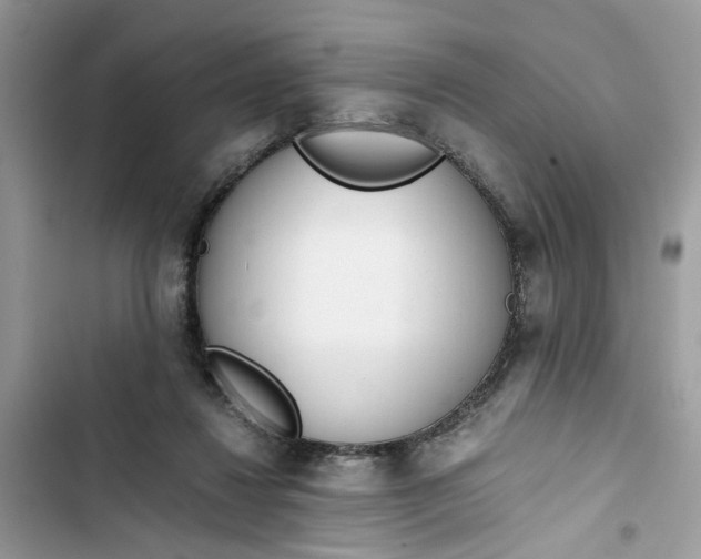 X0000103410260200810031253