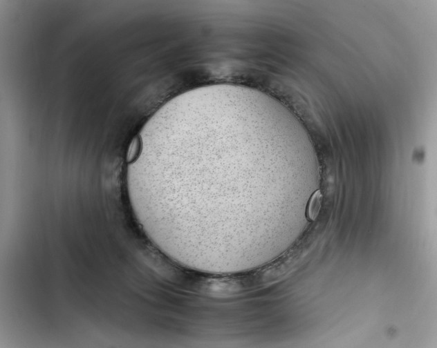 X0000103410275200810031253