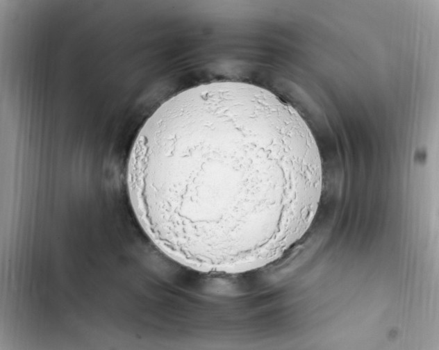 X0000103410285200810031253