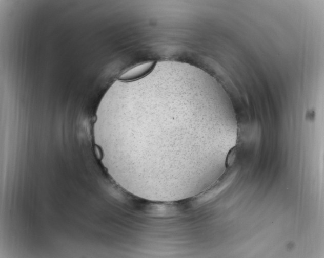 X0000103410286200810031253