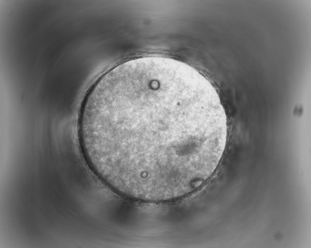 X0000103410293200810031253