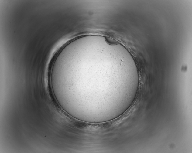 X0000103410294200810031253