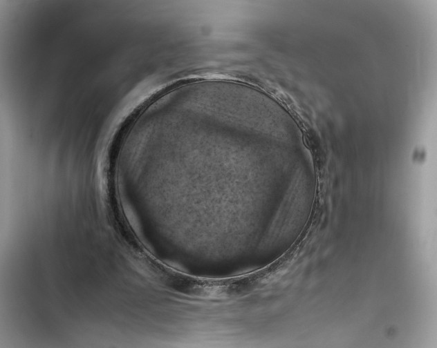 X0000103410295200810031253