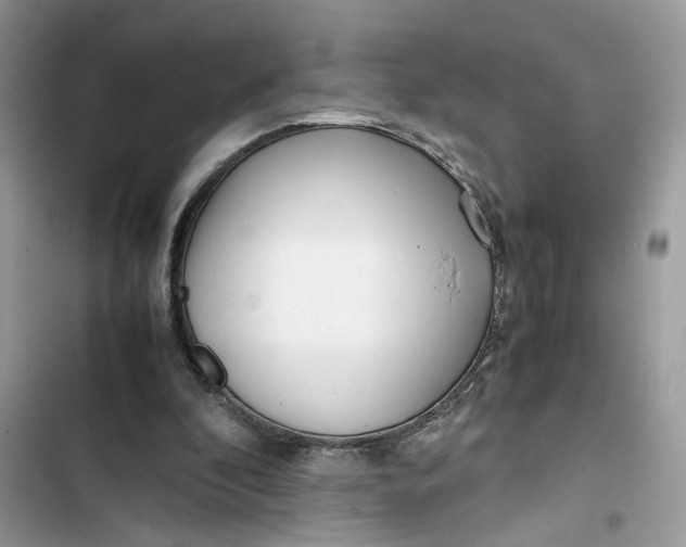 X0000103410296200810031252