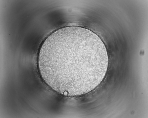 X0000103410297200810031252