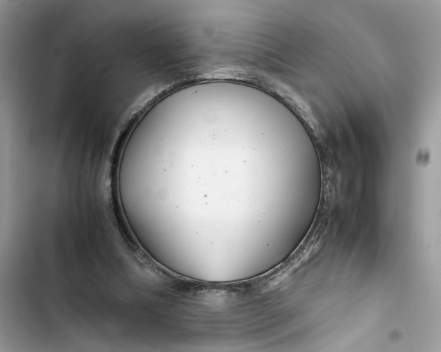 X0000103410298200810031252