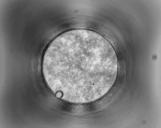 X0000103410301200810031252