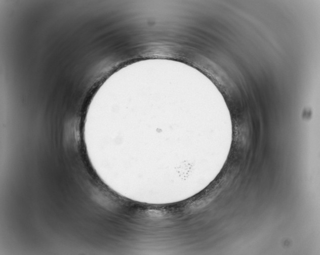 X0000103410302200810031252