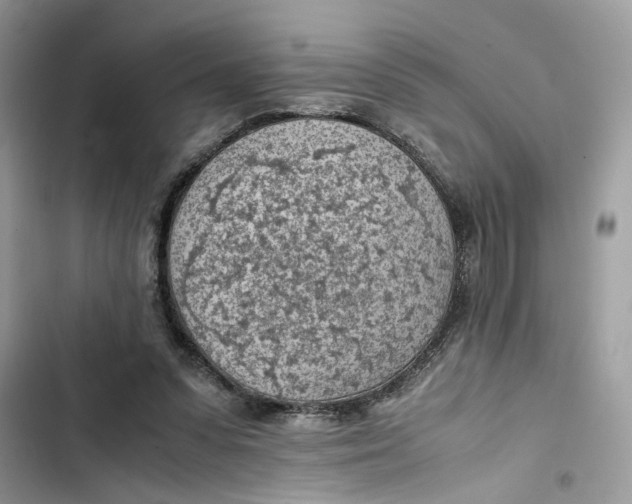 X0000103410303200810031252