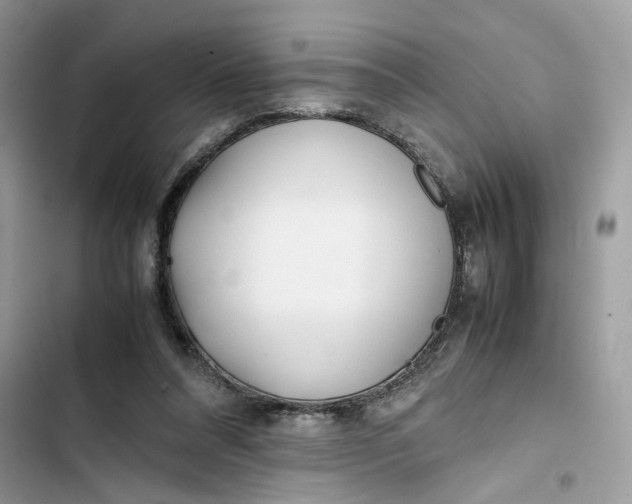 X0000103410304200810031252