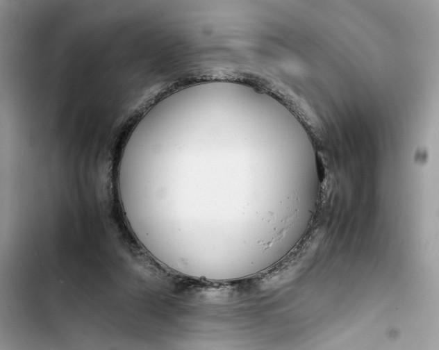 X0000103410306200810031252