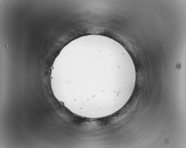 X0000103410307200810031252