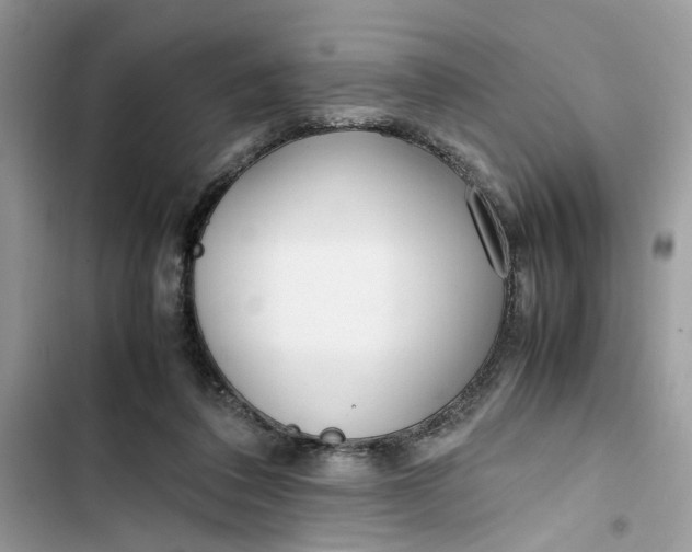 X0000103410308200810031252