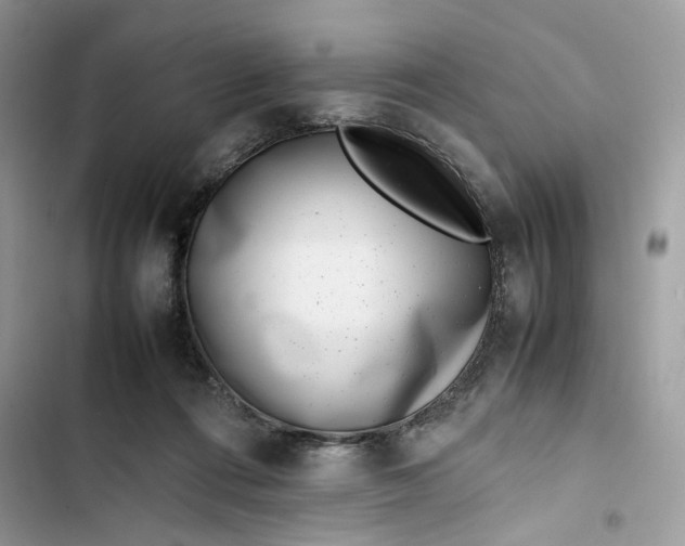 X0000103410312200810031252