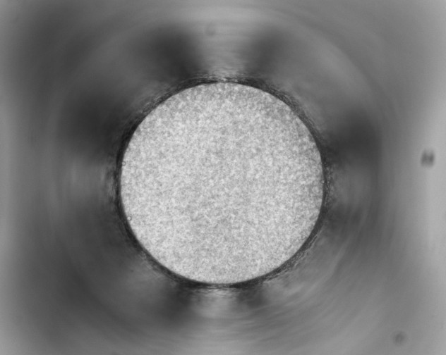 X0000103410313200810031252