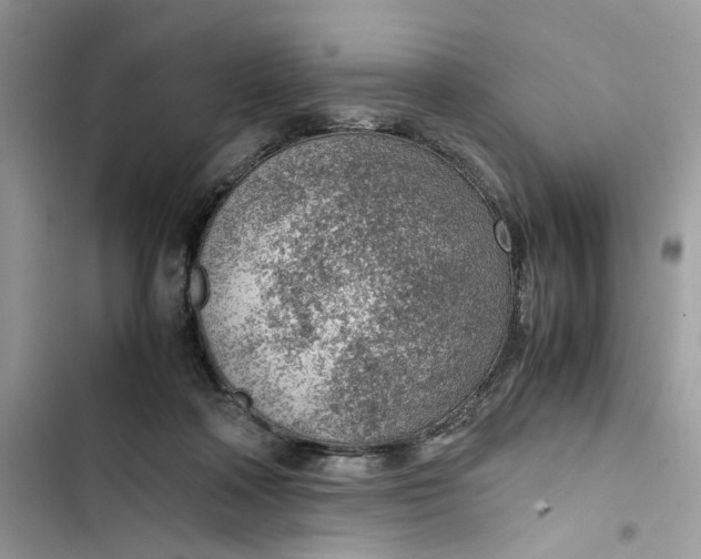 X0000103410314200810031252