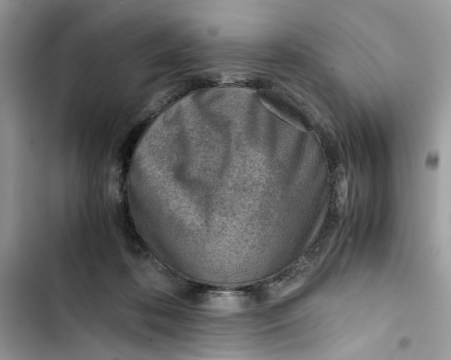 X0000103410316200810031252