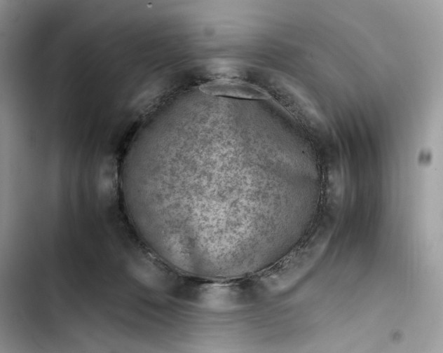 X0000103410320200810031252