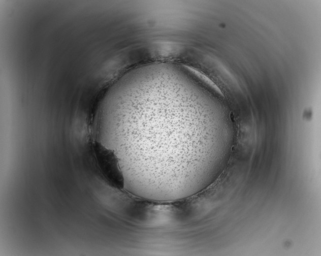 X0000103410324200810031252