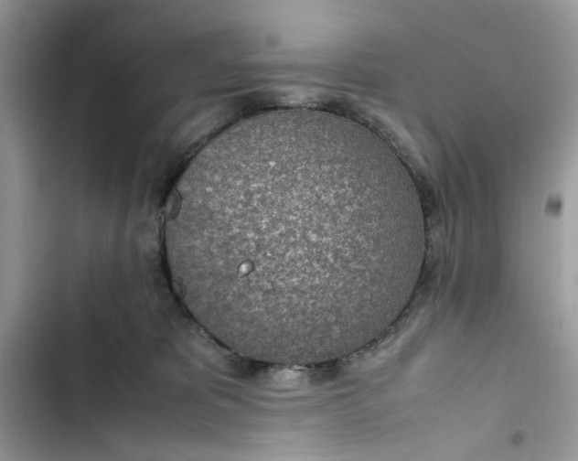 X0000103410325200810031252