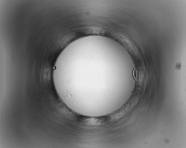 X0000103410326200810031252