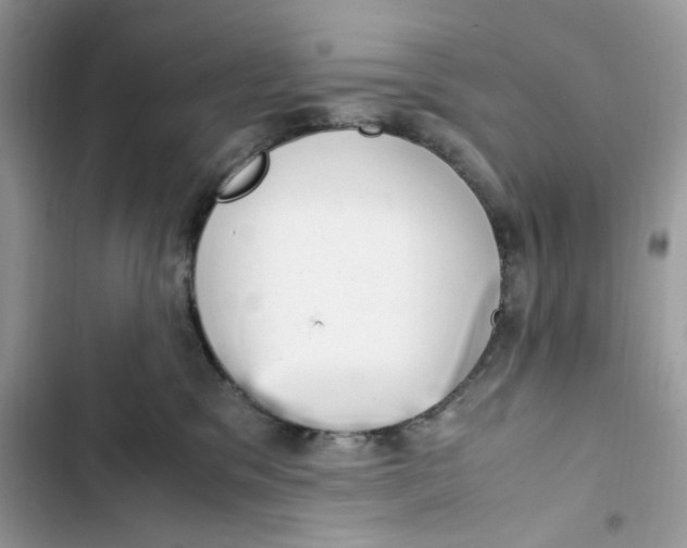 X0000103410329200810031252