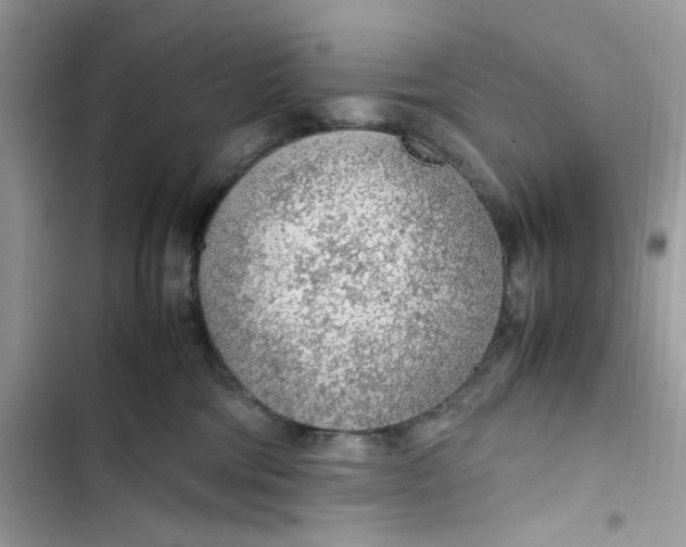 X0000103410330200810031252