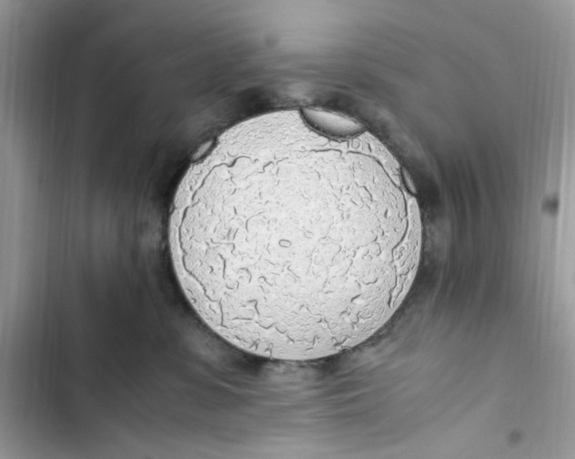 X0000103410331200810031252