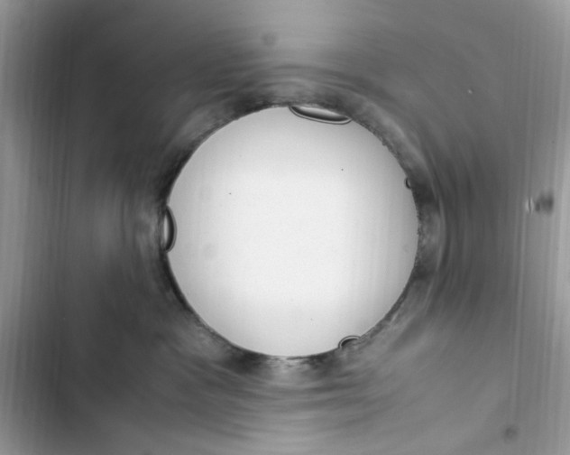 X0000103410333200810031252