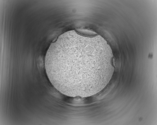 X0000103410335200810031252