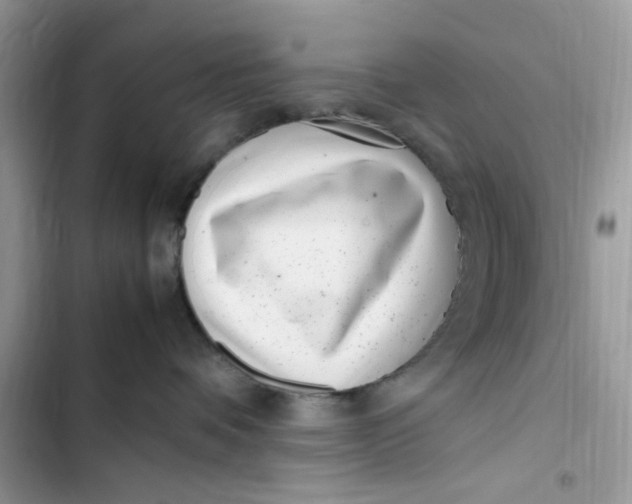 X0000103410336200810031252