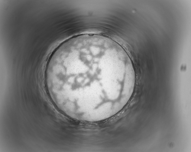 X0000103410337200810031251