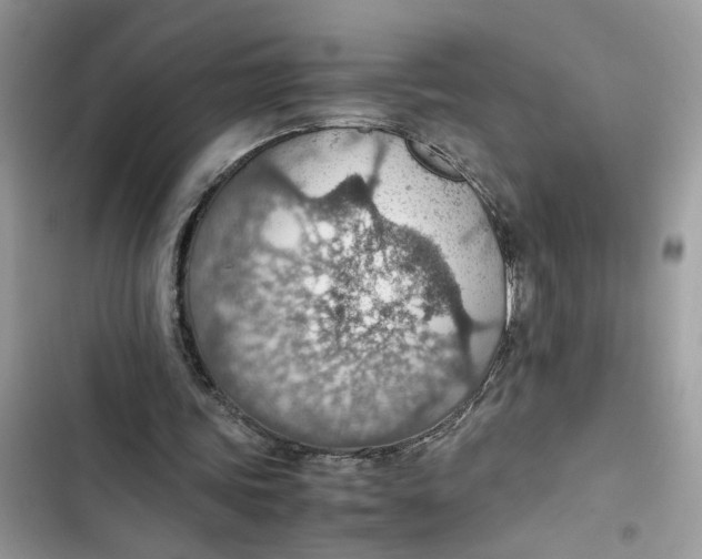 X0000103410339200810031251