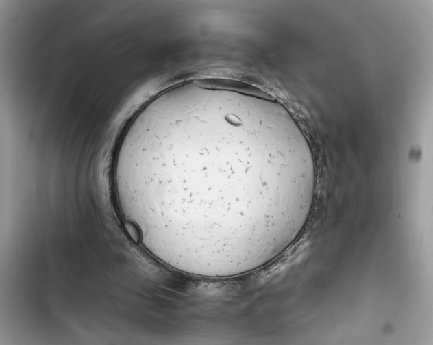 X0000103410341200810031251