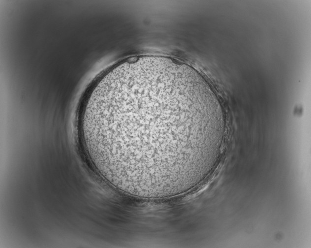 X0000103410343200810031251