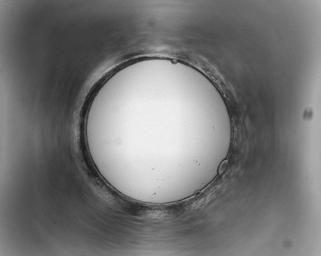 X0000103410344200810031251