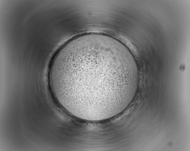 X0000103410346200810031251