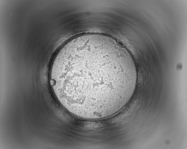 X0000103410347200810031251