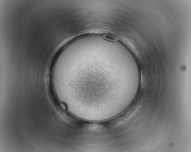 X0000103410348200810031251