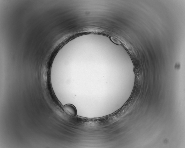 X0000103410350200810031251