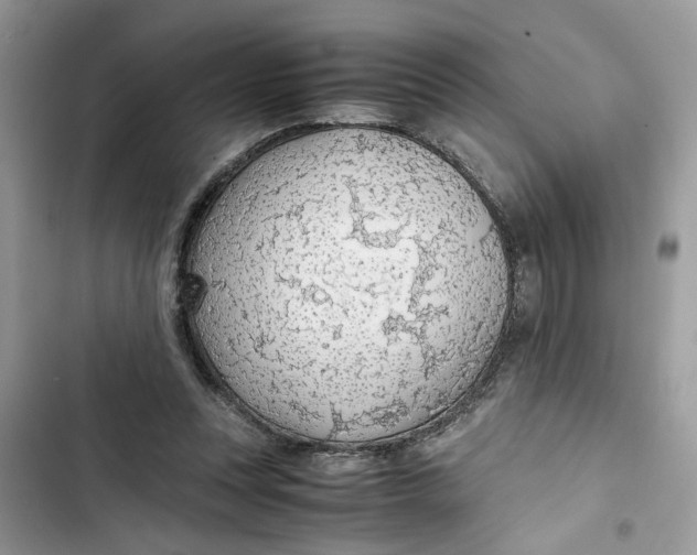 X0000103410351200810031251