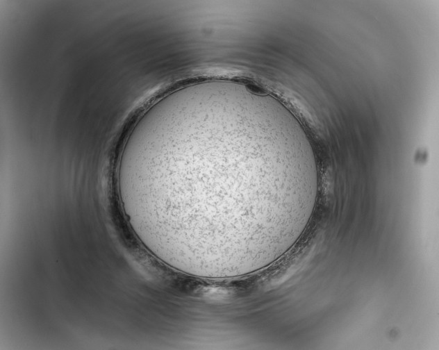 X0000103410352200810031251