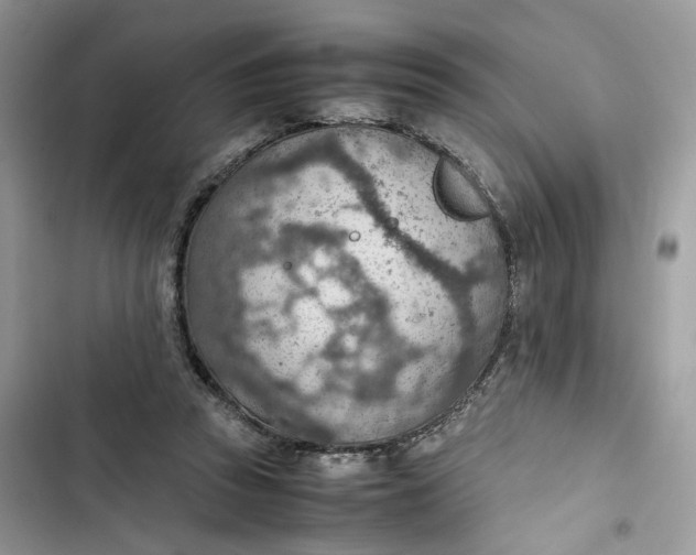 X0000103410353200810031251