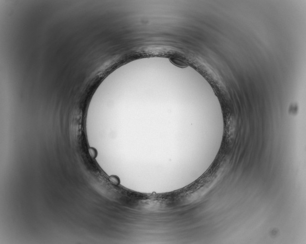 X0000103410356200810031251