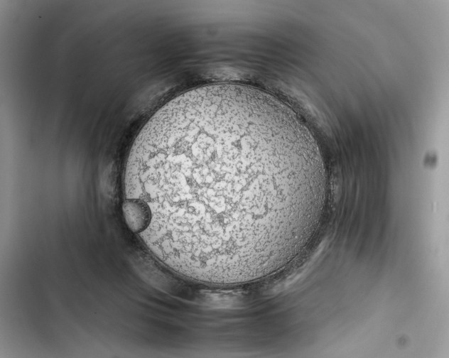 X0000103410359200810031251