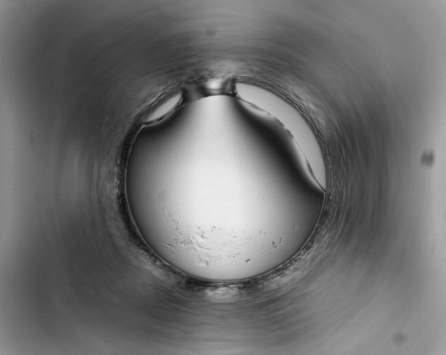 X0000103410362200810031251