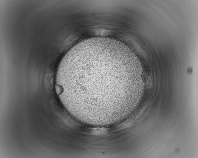 X0000103410363200810031251