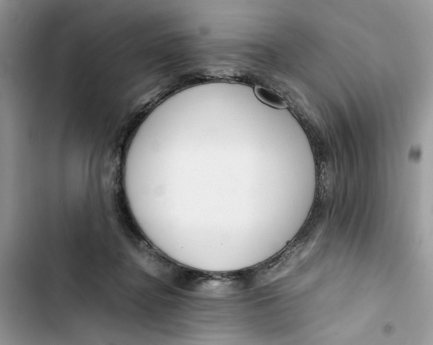 X0000103410364200810031251