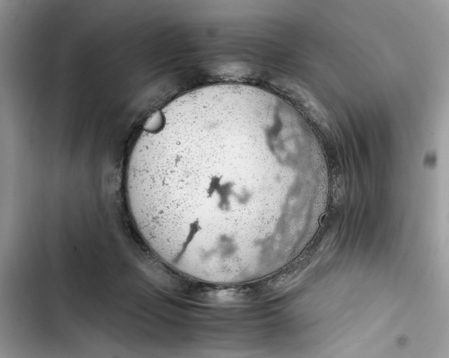 X0000103410365200810031252