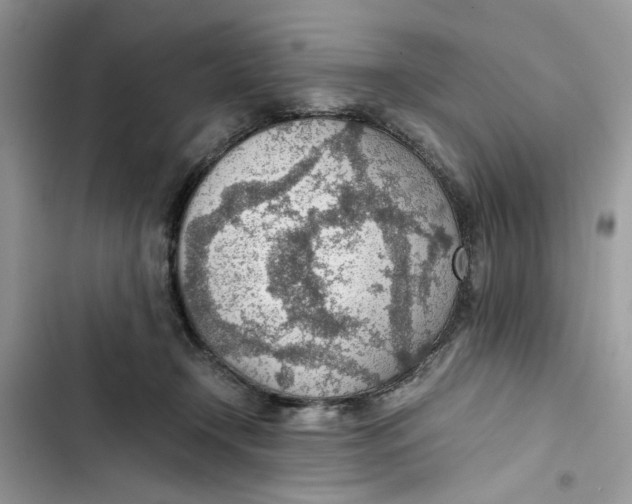 X0000103410366200810031252